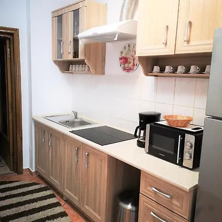 Plaja Modern - Boutique Apartament Viena Haus